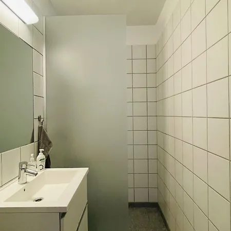 Apartmentincopenhagen 1621 Daire Kopenhag
